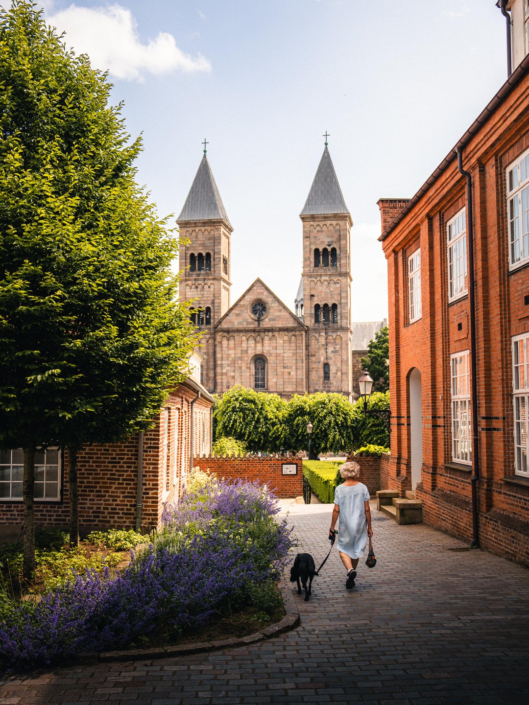 Viborg — Foto: Jakob Vingtoft / VisitAarhus